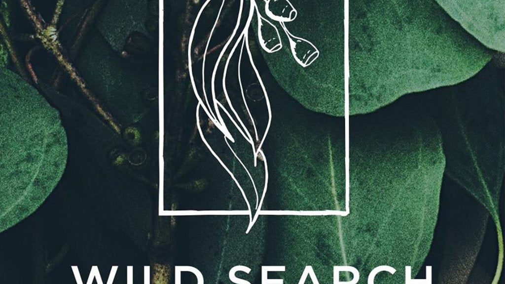 Trader Tribe ~ Wild Search